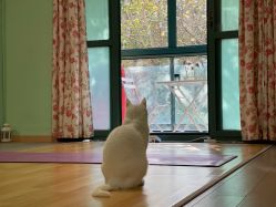 -齐伽生活馆·瑜伽·普拉提·阿育吠陀