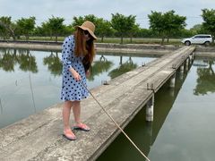 -前小桔亲子创意农场·草莓采摘·露营烧烤