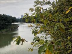 -海珠湖公园