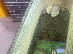 -宝泉铜锅(高新店)