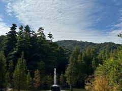 -广州市帽峰山景区