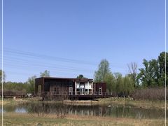 -翠湖国家城市湿地公园
