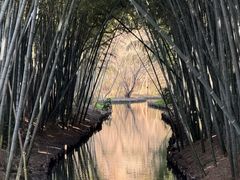 -同里国家湿地公园