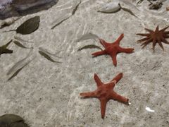 -福州罗源湾海洋世界旅游区