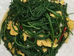 -阿西娅食府(中关村店)