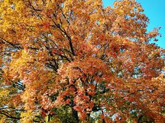 -北京西山国家森林公园