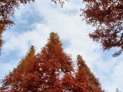 -威海大乳山景区