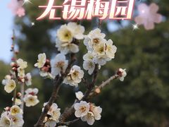 -无锡梅园公园