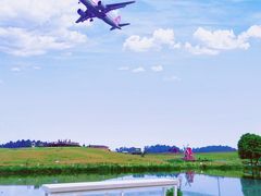 -空港花田景区