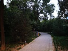 -唐城墙遗址公园
