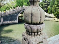 -颐和园