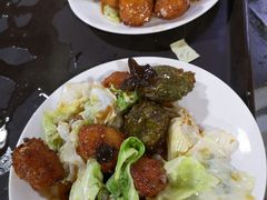 素丸子-夏家大锅台炖鱼馆