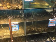 水产区-范饭椰林川湘味海鲜·椰子鸡(三亚湾椰梦长廊店)