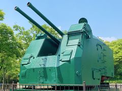 -上海吴淞炮台湾国家湿地公园