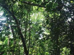 -亚马逊丛林水乐园