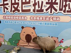 -万达广场(北京槐房店)