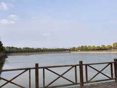 -明珠湖天鹅苑·农家菜馆