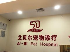 -艾贝尔宠物诊疗