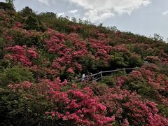 -木兰云雾山