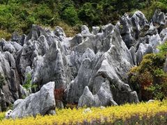 -千岛湖石林