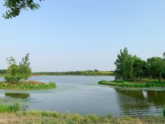 -东郊湿地公园