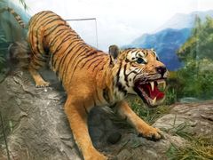 -国家自然博物馆