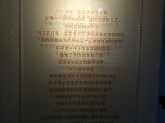 -KOI Thé(正佳广场店)