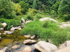 -洛阳白云山景区