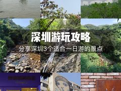 -宝安西湾红树林湿地公园