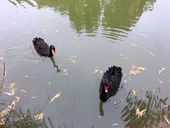 -南翠屏公园