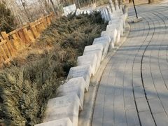 -北京麋鹿生态实验中心