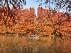 -上海海湾国家森林公园