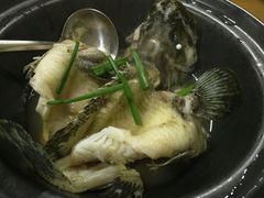 -ZF Seafood Restaurant 卓峰海鲜餐