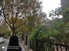 -天津五大道文化旅游区