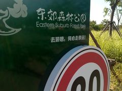 -东郊湿地公园