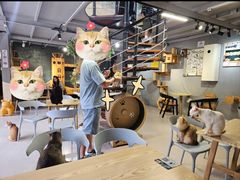 -豆逗聊愈猫阁Easy Life