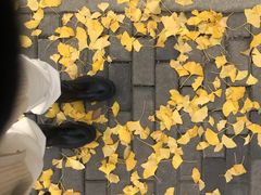 -上海博宽羽毛球馆(双桥路分部)