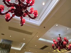 -东国海鲜火锅城(氹仔店)