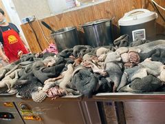 -攀枝花·任德琼·盐边羊肉米线