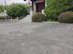 -大唐贡茶院