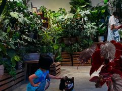 -自由生长植物工作室(深港花卉中心店)