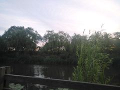 -新江湾城公园
