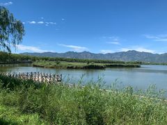 -野鸭湖国家湿地公园