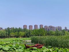 -前关湿地公园