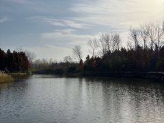 -溱湖国家湿地公园