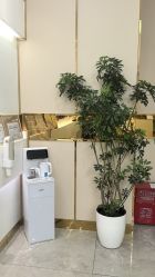 -CICI纤美·科技减肥美容