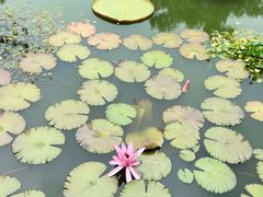 -国家植物园南园