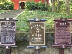 -子昂故里文化旅游区