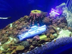 -MOJO密室逃脱(中街旗舰店)