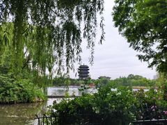 -济南大明湖景区